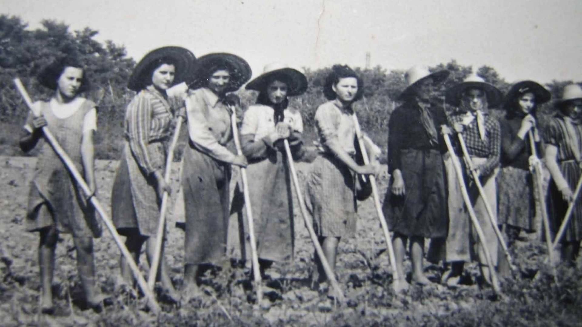 Quando facevo la mondina Circolo lettori / Novara